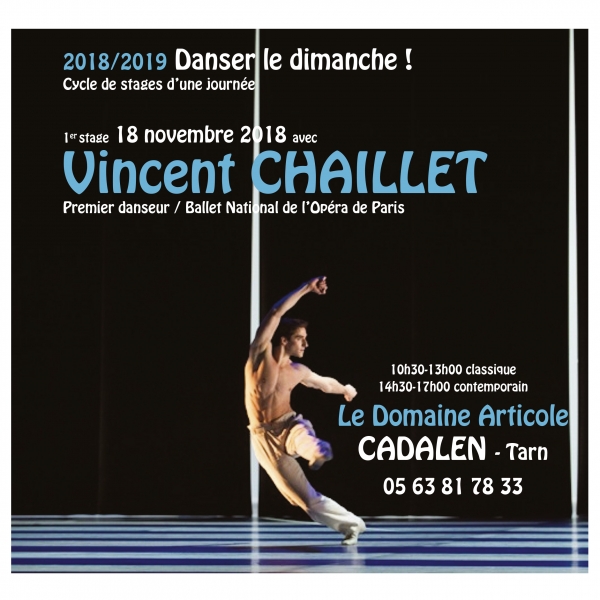 danser-le-dimanche-avec-vincent-chaillet-18-novembre-2018-1
