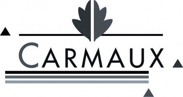 nb logo de carmaux